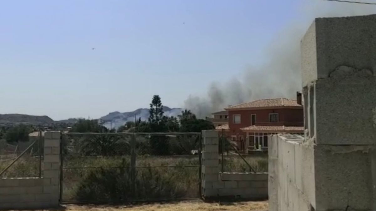 Un incendio forestal en Alicante corta el tránsito de trenes entre Sant Vicent del Raspeig y Agost Un incendio forestal en Alicante corta el tránsito de trenes entre Sant Vicent del Raspeig y Agost
