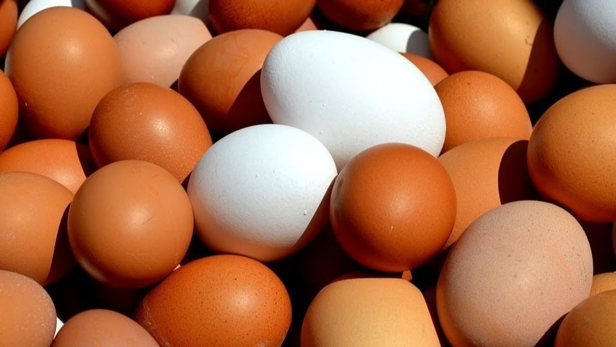 20220715 SOC HUEVOS EP 20220715 SOC HUEVOS EP