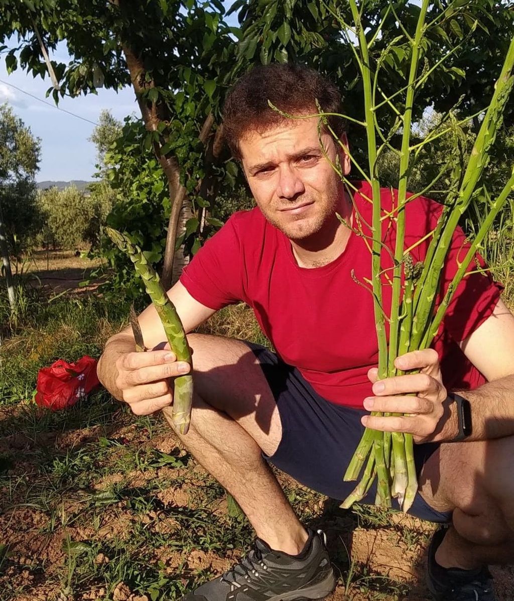 Agricultor de Jaén en un huerto de espárragos