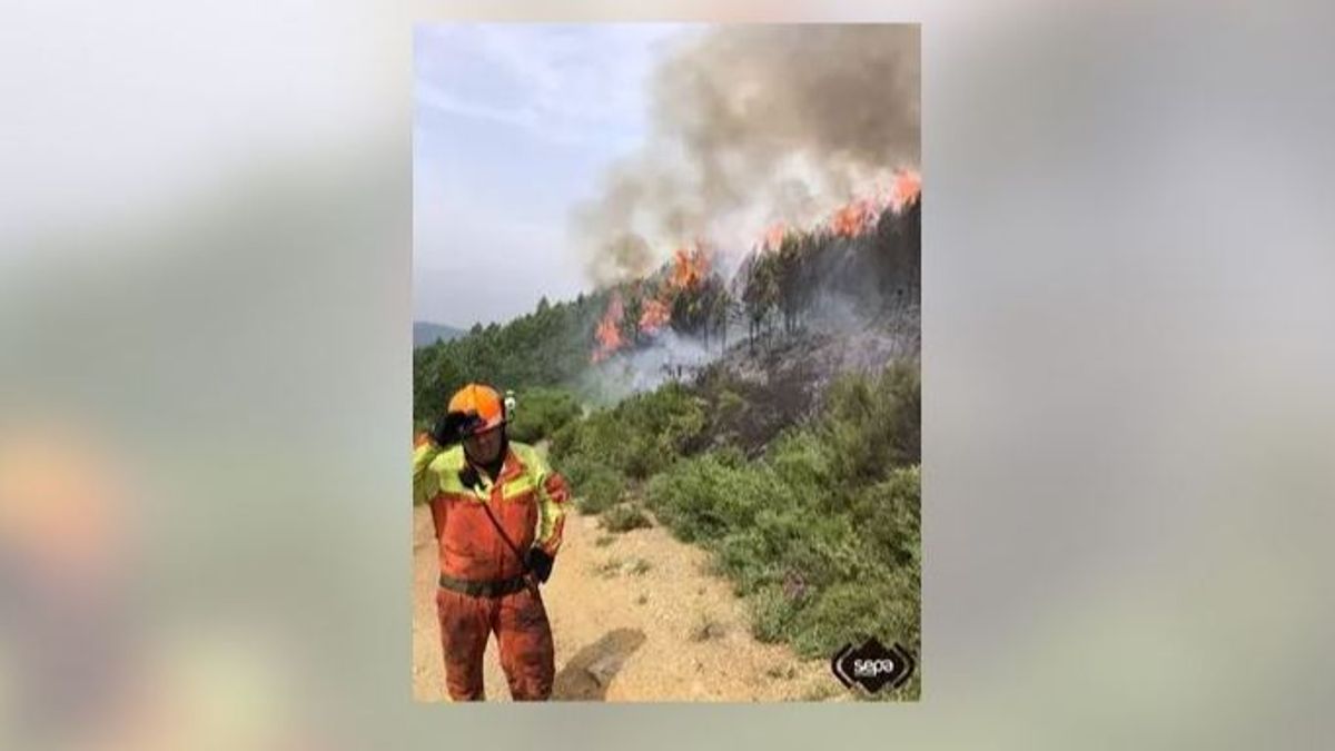 Asturias registra cinco incendios forestales en Allande, Navia y Peñamellera Baja