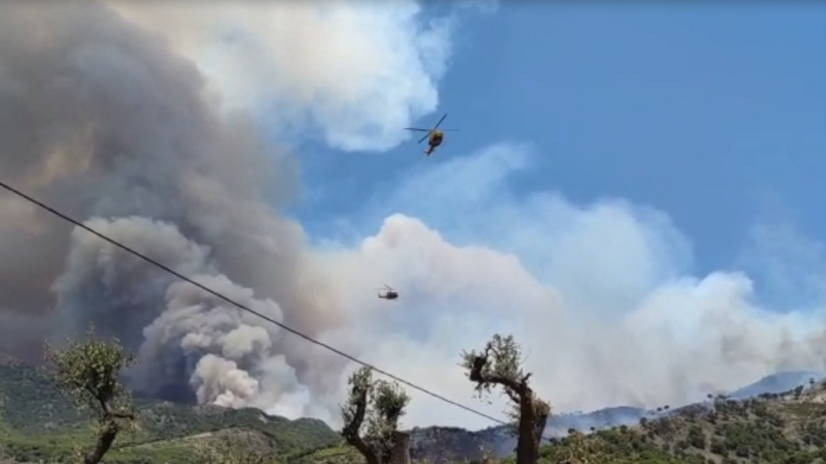Desalojos y una carretera cortada en Alhaurín por un preocupación incendio forestal en Mijas Desalojos y una carretera cortada en Alhaurín por un preocupación incendio forestal en Mijas