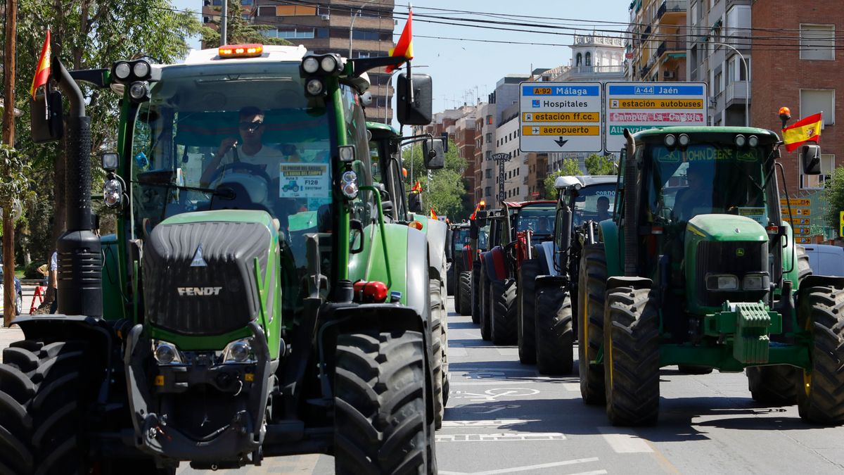 El campo de Jaén estalla y colapsará la provincia con seis tractoradas simultáneas: “Nos están arruinando”