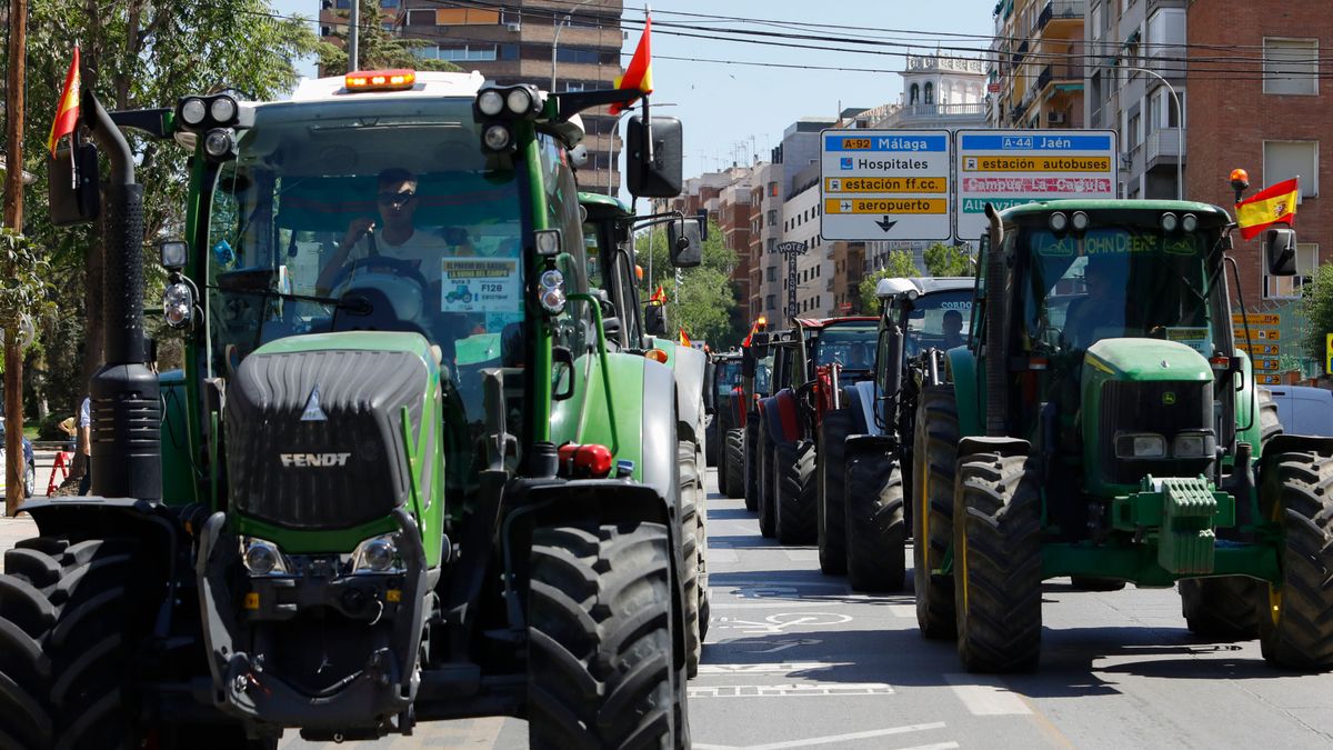 El campo de Jaén estalla y colapsará la provincia con seis tractoradas simultáneas: “Nos están arruinando” El campo de Jaén estalla y colapsará la provincia con seis tractoradas simultáneas: “Nos están arruinando”