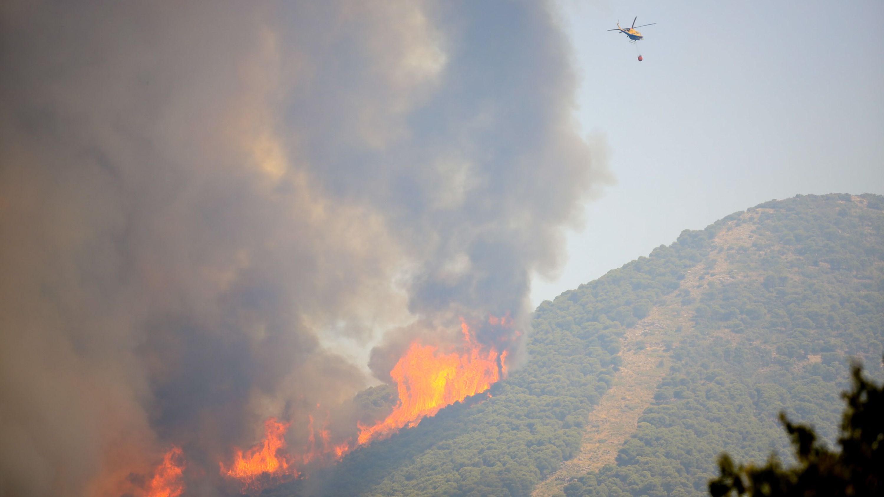 Los incendios arrasan España en varios puntos del país