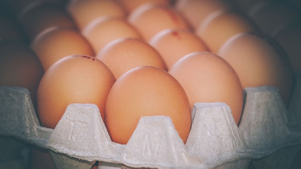 Investigadores de California logran producir anticuerpos contra el coronavirus en huevos de gallina