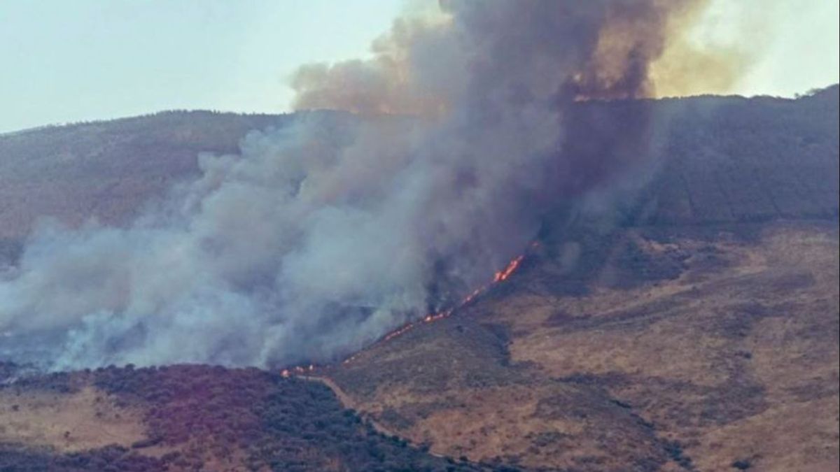 La Comunidad de Madrid prohíbe el uso de fuego y maquinaria agrícola por el alto riesgo de incendios La Comunidad de Madrid prohíbe el uso de fuego y maquinaria agrícola por el alto riesgo de incendios