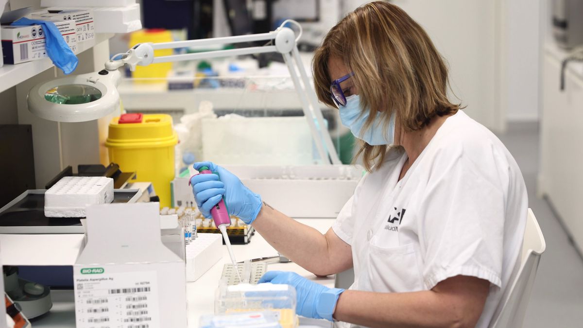 La Comunidad Valenciana suma otros 29 nuevos contagios de viruela del mono La Comunidad Valenciana suma otros 29 nuevos contagios de viruela del mono