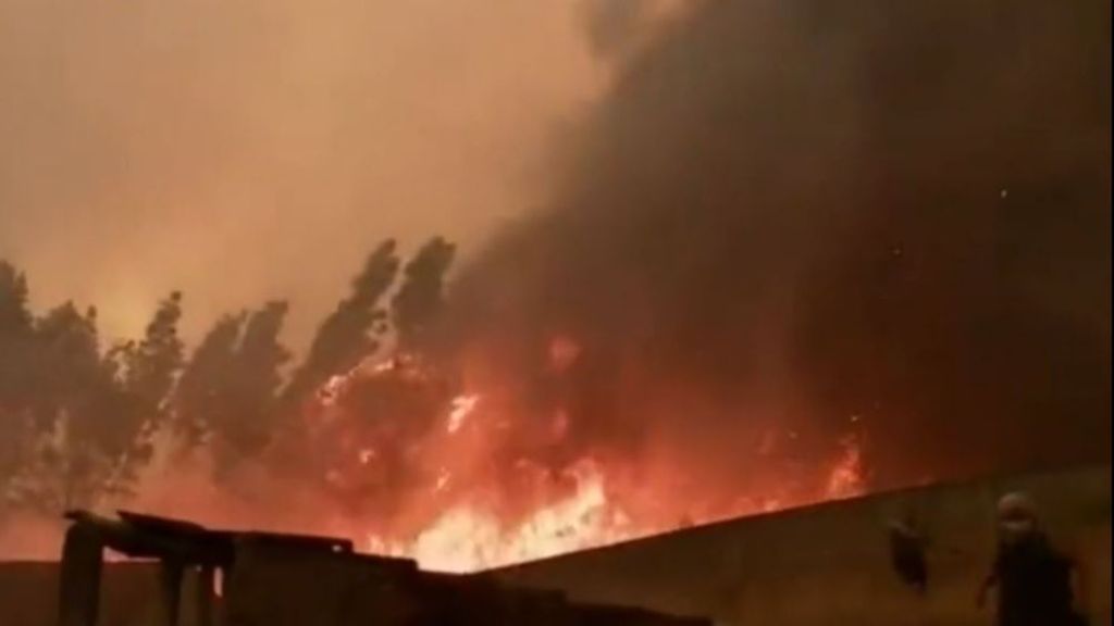 Los fuegos también devoran Europa: las llamas calcinan 30.000 hectáreas en la vecina Portugal