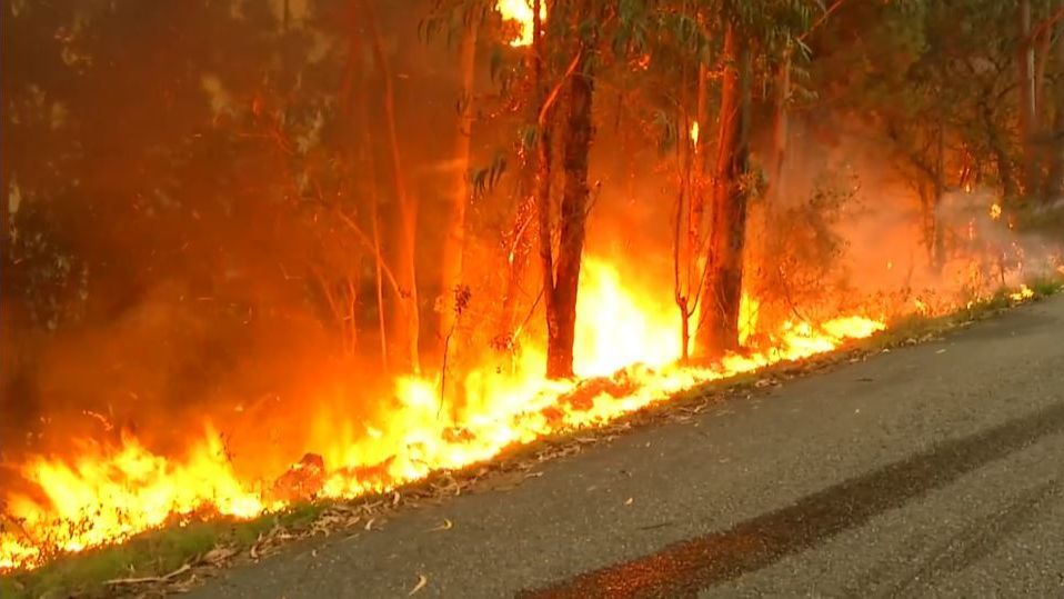 El incendio en Baiona, que pudo ser originado por un rayo, ha calcinado 50 hectáreas