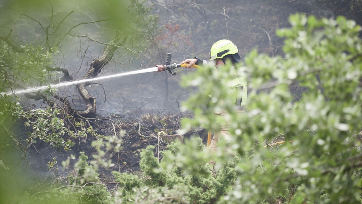Un bombero de Álava trabaja en las labores de extinción de un incendio forestal