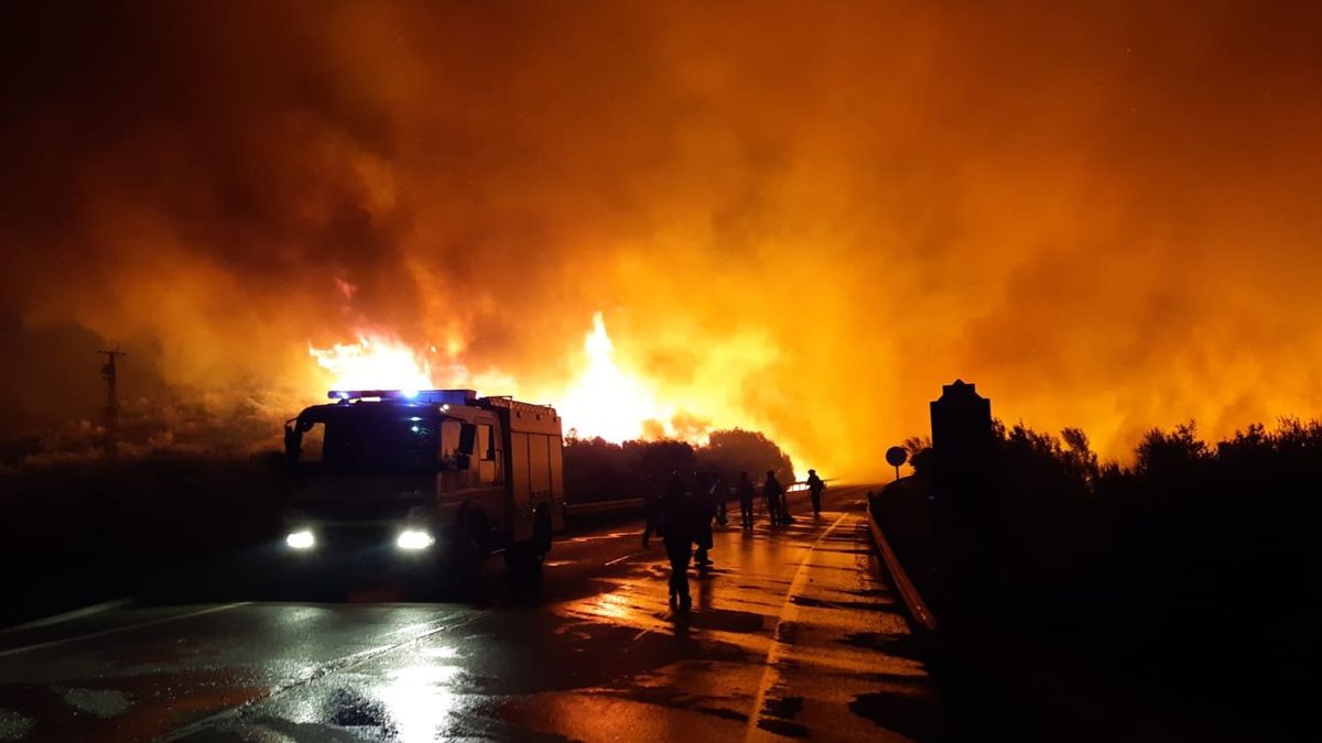 Un nuevo incendio forestal declarado de madrugada pone en alerta Olvera y obliga al corte de una carretera Un nuevo incendio forestal declarado de madrugada pone en alerta Olvera y obliga al corte de una carretera