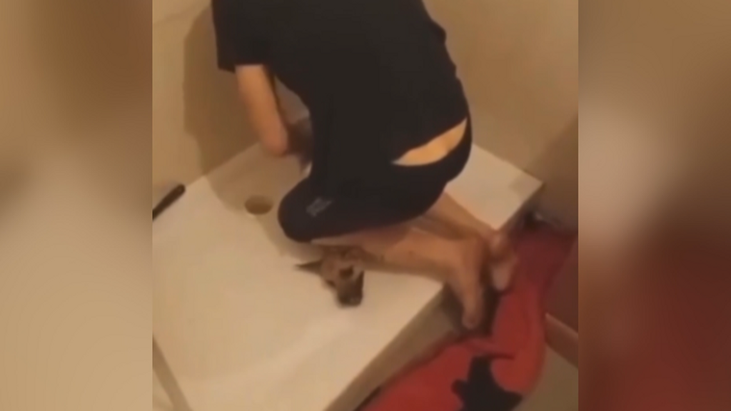 Un vídeo viral permite identificar a un hombre de Lleida que maltrataba brutalmente a sus perros