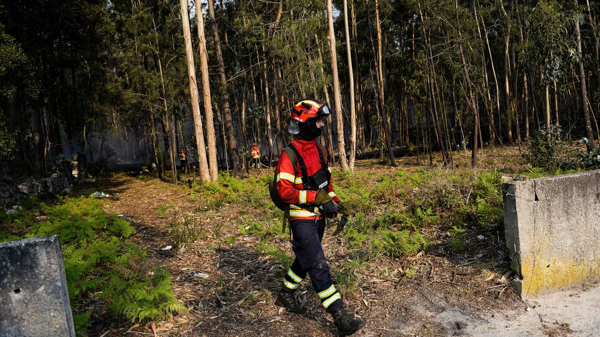 Bombero en Portugal Bombero en Portugal