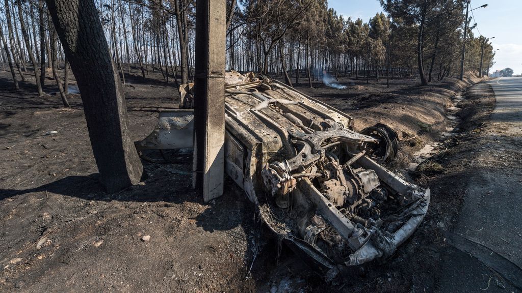 Qué hacer ante un incendio en el campo