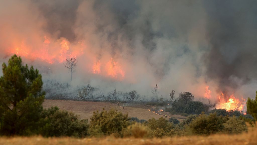 La UME trabaja con 609 efectivos en cuatro incendios forestales y no descarta incorporarse a otros
