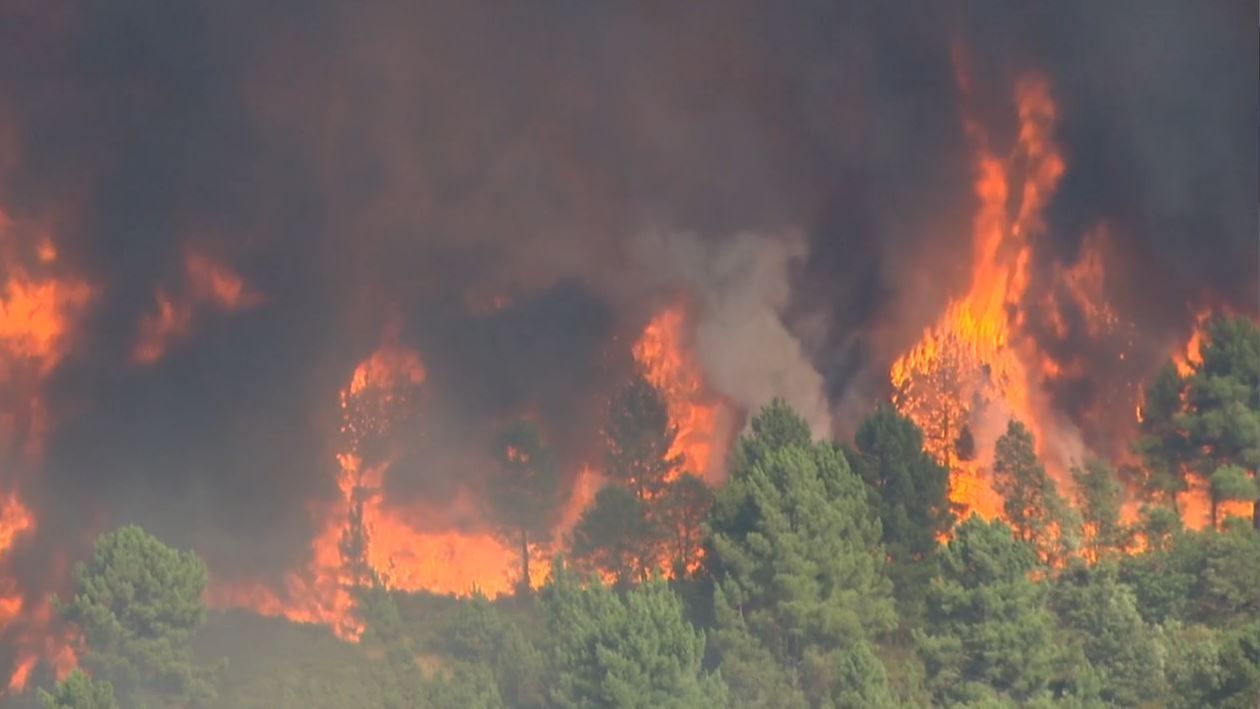Los incendios en Galicia arrasan más de 4.700 hectáreas, la mayoría en Lugo y Ourense