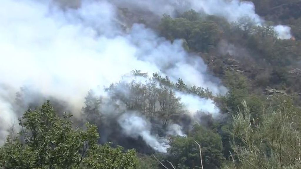 12 incendio forestales ponen en jaque a Galicia: han arrasado ya más de 4.600 hectáreas