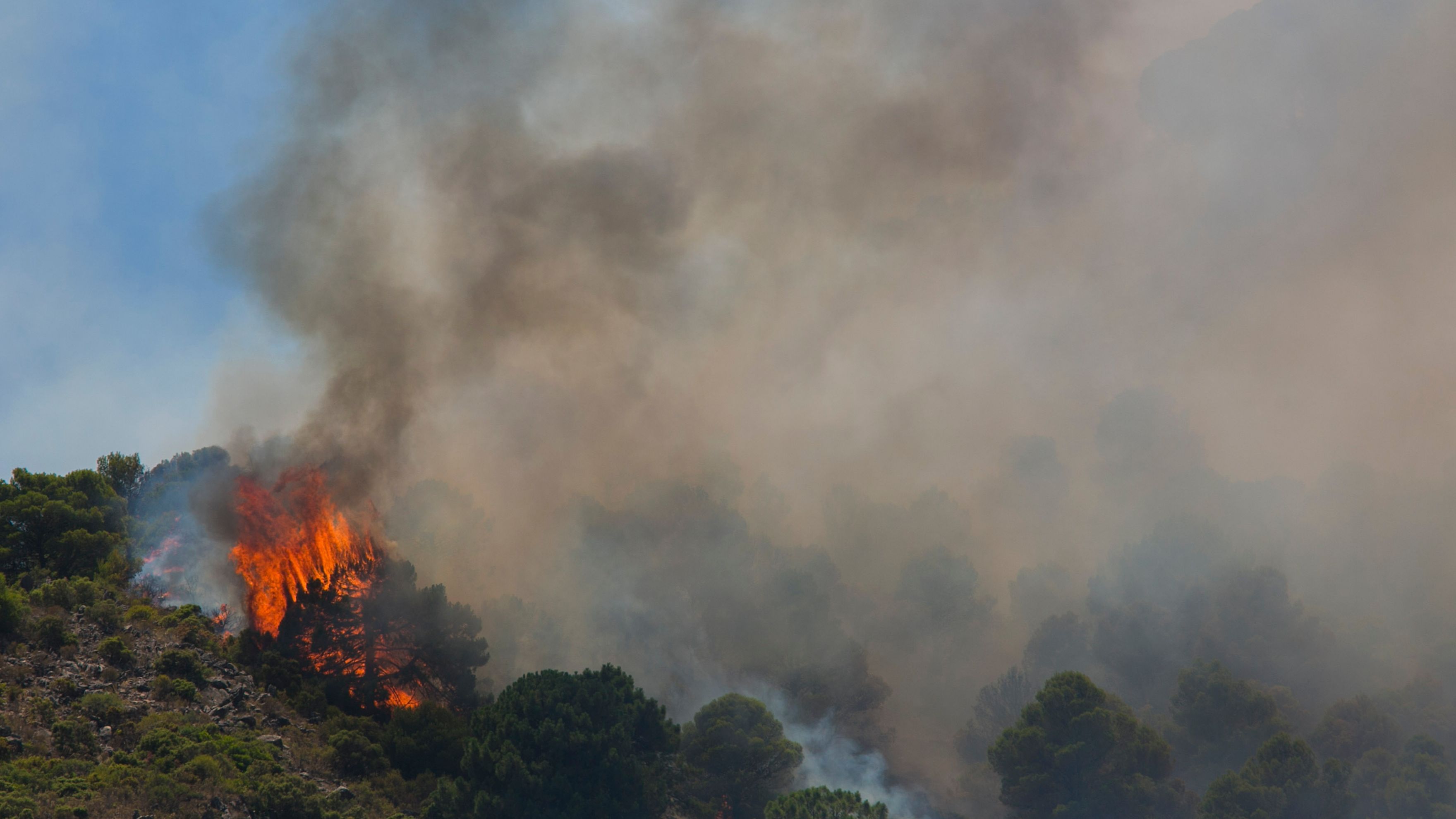 650 casas siguen desalojadas por el incendio en la Sierra de Mijas: podría ser estabilizado este domingo