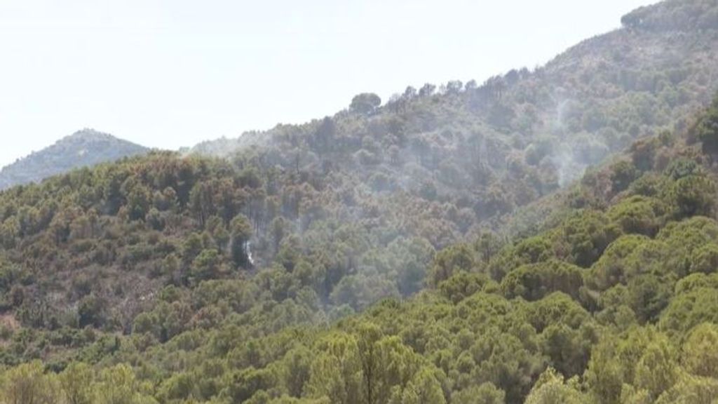 Incendio de la Sierra de Mijas, en Málaga: podría ser estabilizado pero todavía hay 1.000 desalojados