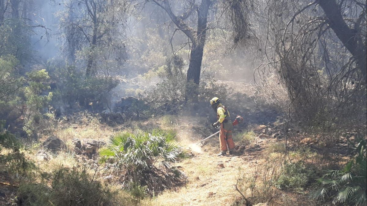 Incendio Mijas 16 julio Incendio Mijas 16 julio