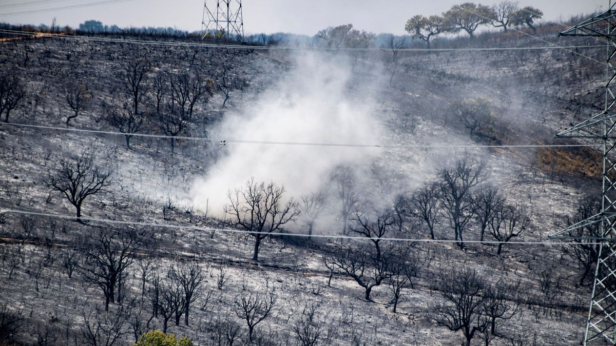 Zona arrasada por las llamas del incendio declarado en la zona próxima a Casa de Miravete y Deleitosa, este domingo.