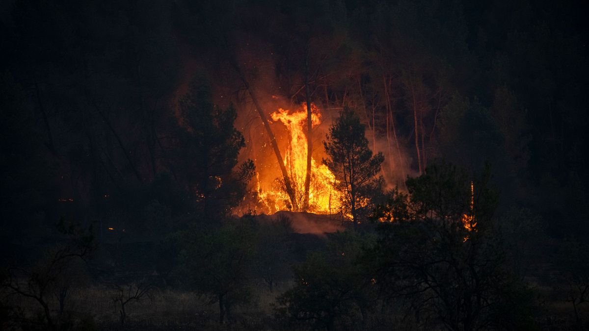 Contenido el incendio forestal del Bages, que sigue activo y ha afectado a 1.600 hectáreas