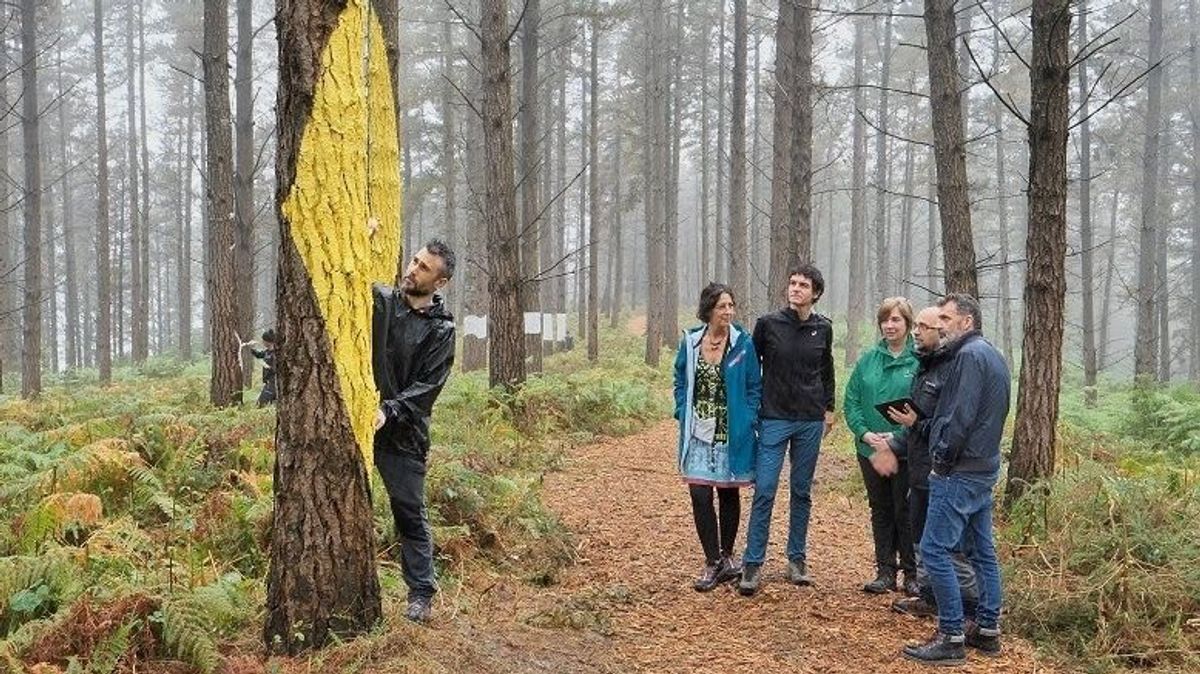El bosque de Oma El bosque de Oma