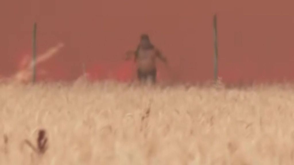 Un agricultor rodeado por las llamas del incendio de Zamora logar escapar del fuego