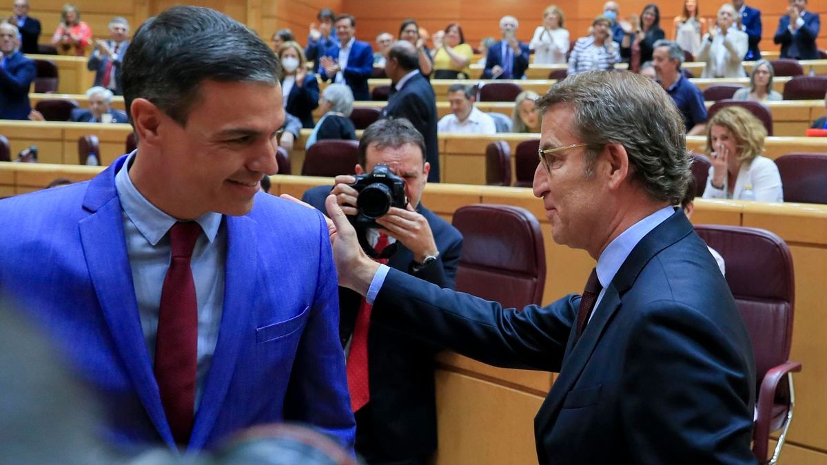 Feijóo saluda al presidente Pedro Sánchez en su primer cara a cara en el Senado Feijóo saluda al presidente Pedro Sánchez en su primer cara a cara en el Senado