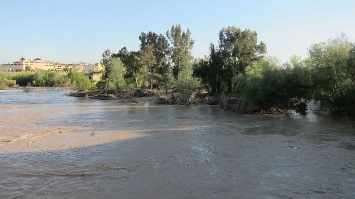 Hallan el cadáver del joven desaparecido cuando se bañaba en el río Guadalquivir, en Córdoba