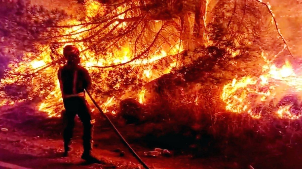 Los bomberos trabajan en las tareas de extinción del incendio de Cebreros Los bomberos trabajan en las tareas de extinción del incendio de Cebreros