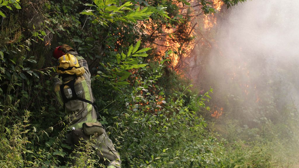 Cadena de incendios en varios puntos.