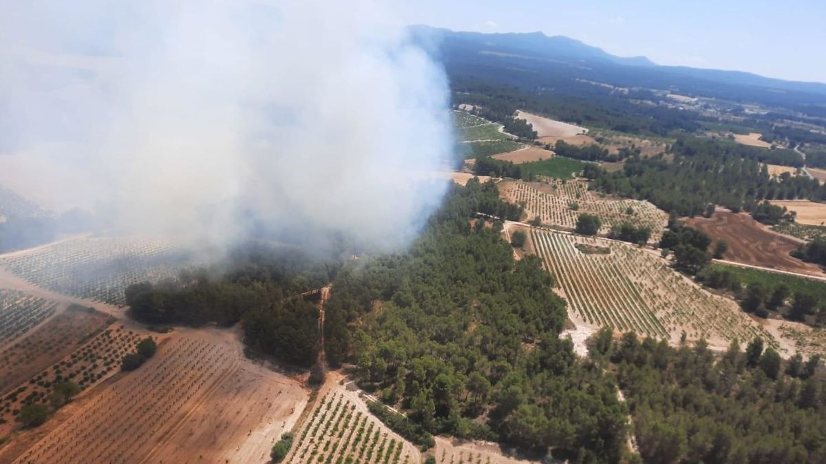 Estabilizado un incendio forestal en Requena