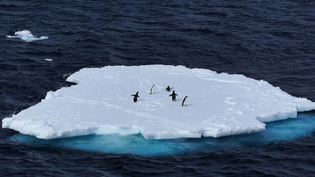 La extensión del hielo marino en la Antártida está en niveles bajos récord