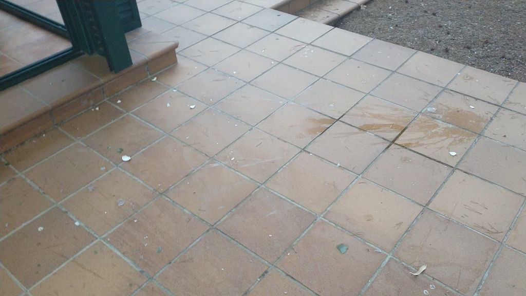 Manchas de huevos lanzados al jardín