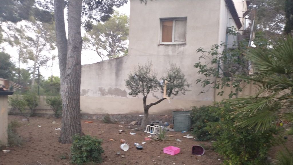 Ventana desde donde tira los objetos