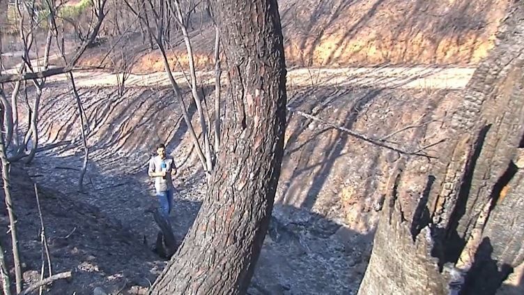 Dos grandes incendios aún activos en Galicia: ambos han arrasado 10.000 hectáreas, récord en la comunidad