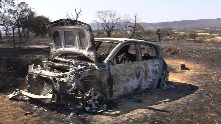 El daño causado por el fuego en la comarca zamorana de Tábara es aterrador