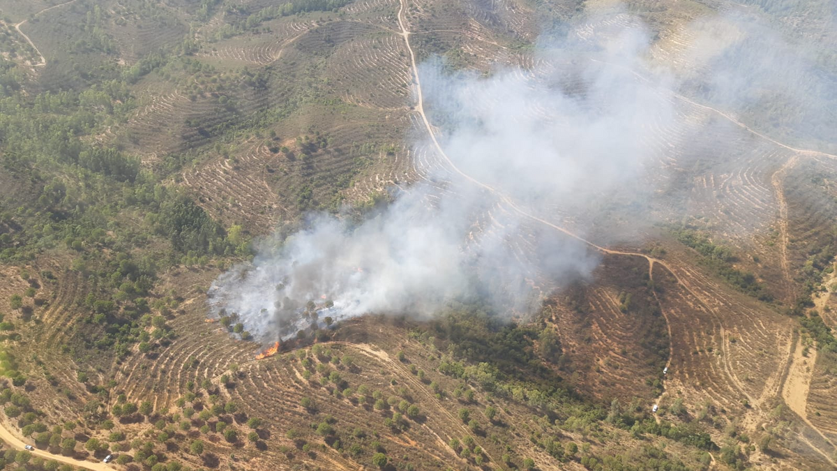 Incendio de Aznalcóllar Incendio de Aznalcóllar