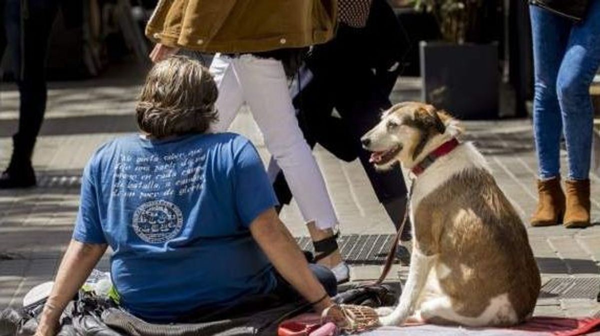 Persona sin hogar con su perro Persona sin hogar con su perro