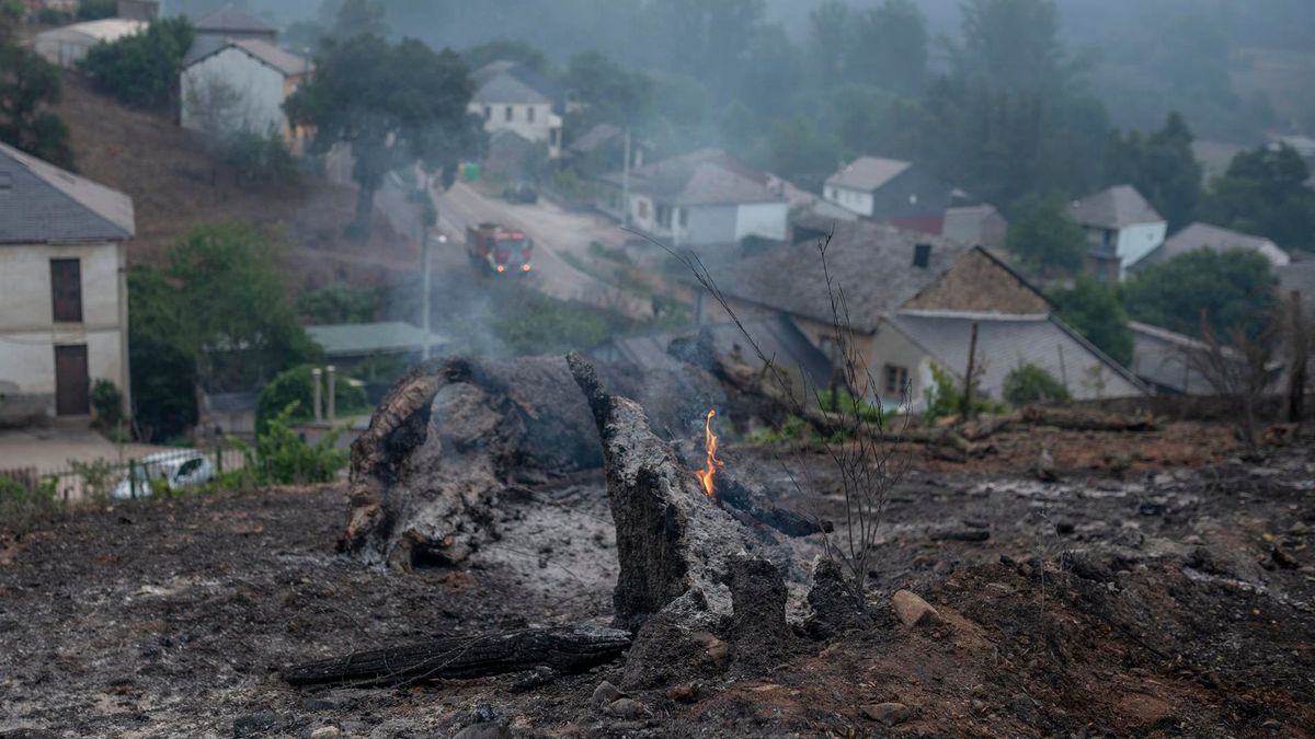 ¿Quién se encarga de los pagos por los daños originados por los incendios forestales?