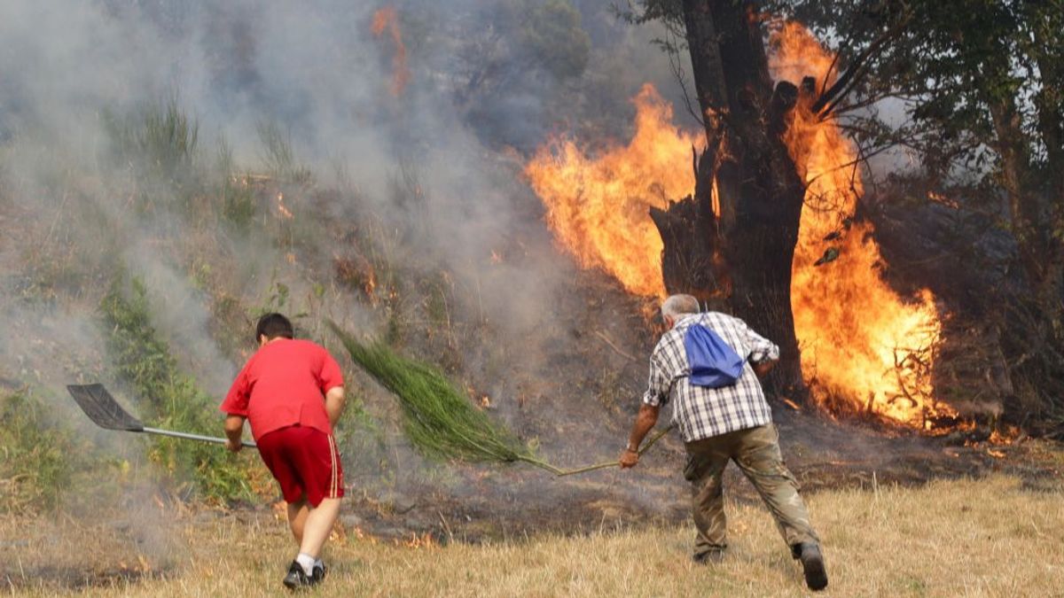 Vecinos de Folgoso do Courel (Lugo) luchando contra el fuego. Vecinos de Folgoso do Courel (Lugo) luchando contra el fuego.