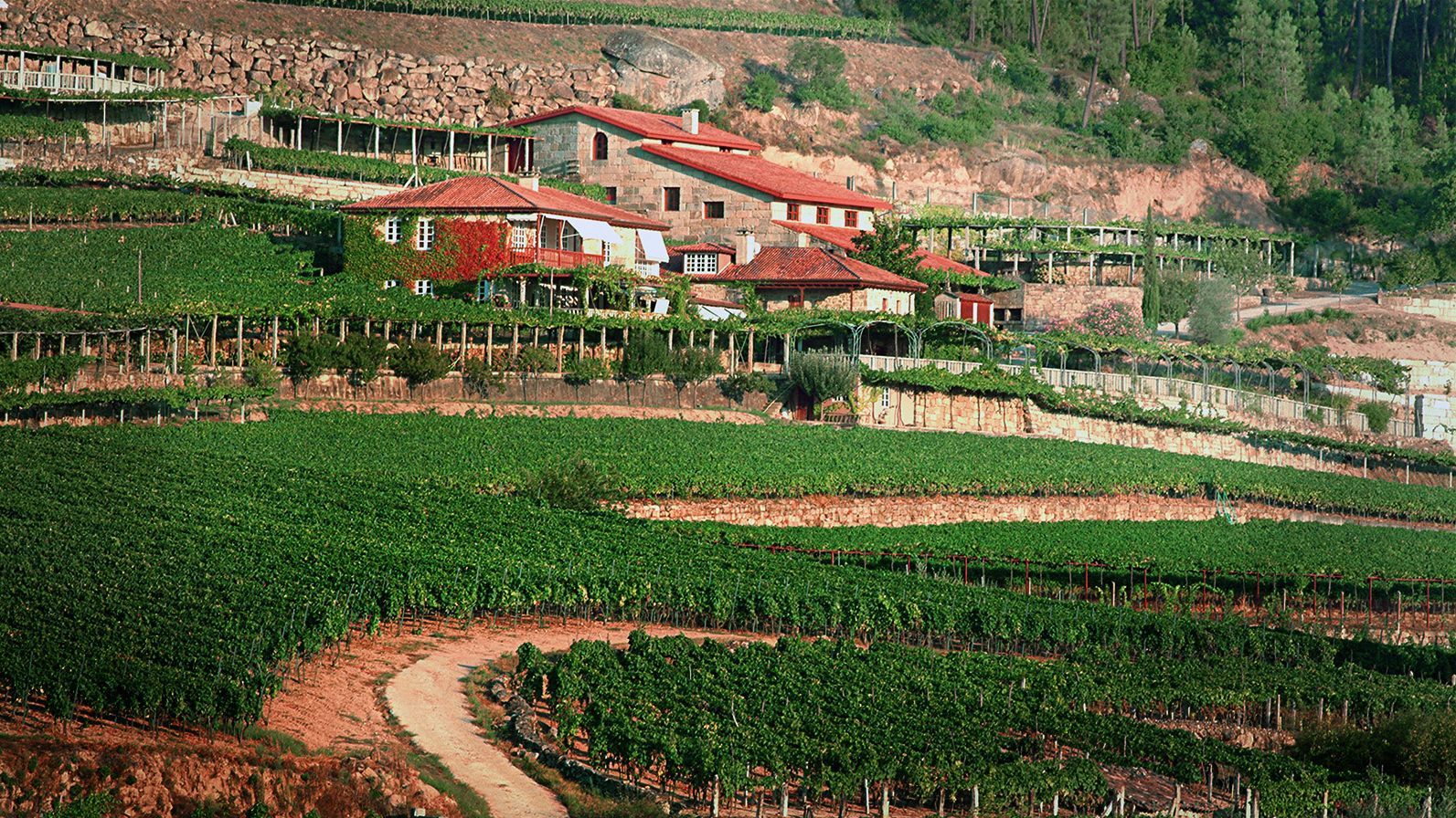 A Vilerma, un lugar acasarado siglos atrás, que mira al sur y al poniente desde las laderas de Gomariz