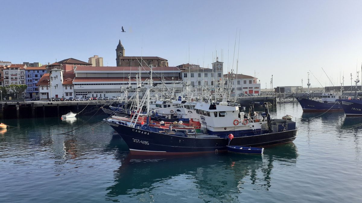 La flota de Euskadi pesca 2,7 toneladas de bonito en un mes de campaña