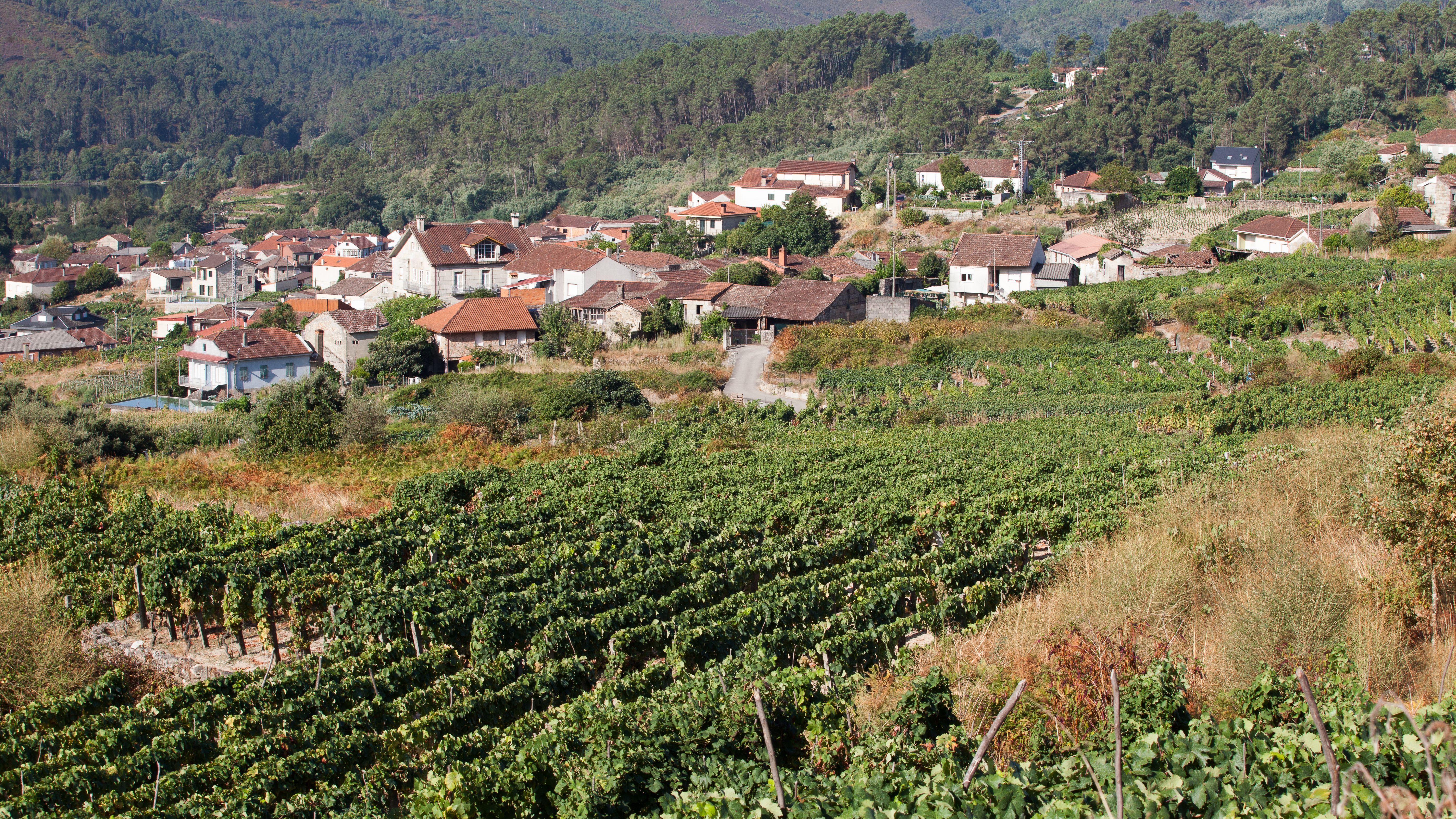 Lagar do Merens Arnoia