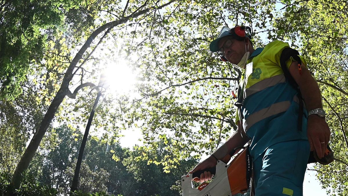 Un empleado de los sevicios de limpieza este jueves en el centro de Madrid Un empleado de los sevicios de limpieza este jueves en el centro de Madrid
