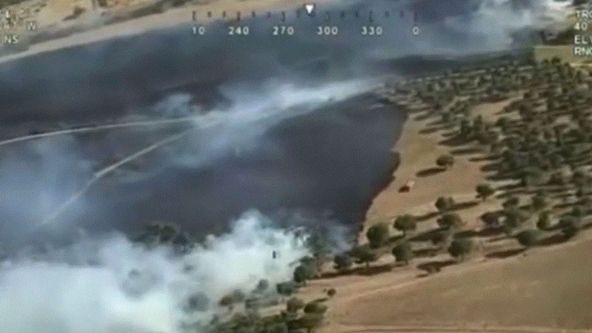 Un incendio en la M 607 obliga a desalojar el Tanatorio de la Paz