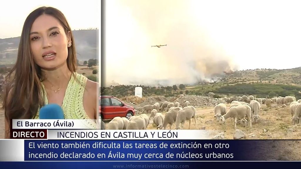 Incendios en Castilla y León: el viento dificulta la extinción de las llamas que azotan a Ávila