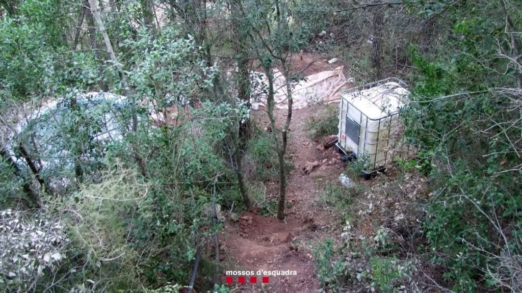 Los Mossos d'Esquadra detienen a dos hombres y desmantelan un cultivo de marihuana en Alt Camp