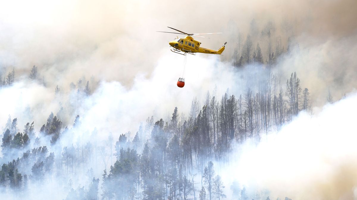 Un helicóptero contra incendios descarga agua sobre un incendio forestal en Tenerife Norte, a 23 de julio de 2022